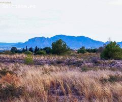 Parcela en Venta en Crevillente, Alicante