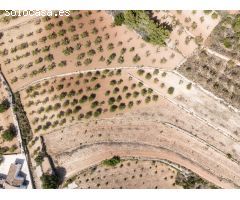 Parcela en Venta en Benissa, Alicante