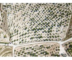 Parcela en Venta en Benissa, Alicante