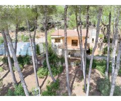 Finca rustica en Venta en Senija, Alicante
