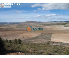 Parcela de 2Ha y 39 Áreas con vistas panorámicas a almendros y montañas