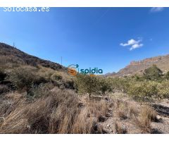 Dos casas de campo adosadas con casi 7.000m2 de terreno a solo 5km de la playa de S. Juan Terreros