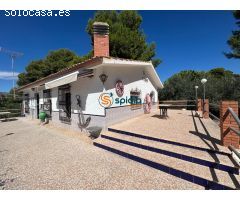 Gran casa de campo rodeada de arboles frutales, palmeras, pinos y olivos muy cuidados