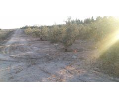 Finca en Venta en Las Torres de Cotillas, Murcia