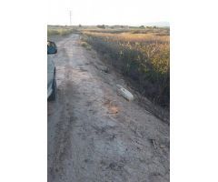 Finca en Venta en Las Torres de Cotillas, Murcia