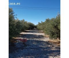 Parcela en Venta en Abanillas, Murcia