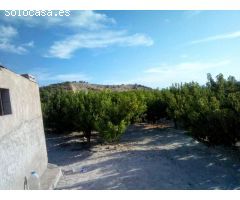 SE VENDE PARCELA EN MOLINA DE SEGURA