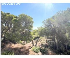Portals Vells