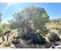 Portals Vells