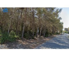 TERRENO RURAL en VENTA - CAN LLOSES - SANT PERE DE RIBES - BARCELONA