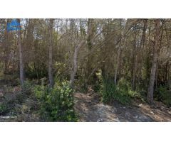 TERRENO RURAL en VENTA - CAN LLOSES - SANT PERE DE RIBES - BARCELONA