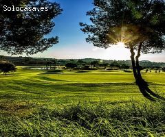 Parcelas, Monforte del Cid  Alenda