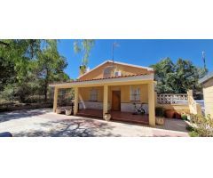 CHALET EN EL REBOLLEDO ZONA ALCORAYA