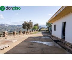 ESPECTACULAR FINCA  EN DUDAR