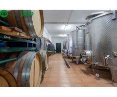 ESPECTACULAR FINCA  EN DUDAR