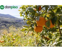 VENTA DE ESTUPENDO TERRENO URBANO EN EL VALLE