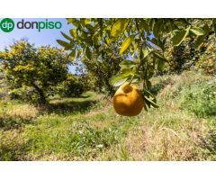 VENTA DE ESTUPENDO TERRENO URBANO EN EL VALLE