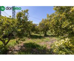 VENTA DE ESTUPENDO TERRENO URBANO EN EL VALLE