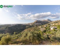 Se vende parcela urbana en Cogollos Vega