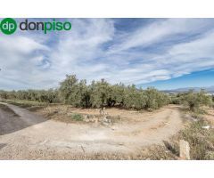 MAGNÍFICA PARCELA CERCANA A CTRA. DE URB. EL TORREÓN