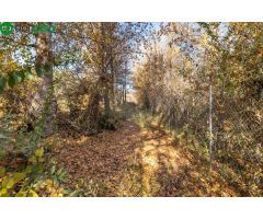MAGNÍFICA FINCA JUNTO URBANIZACIÓN MOLINO ALTO