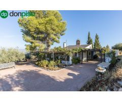 Casa rural con 300 olivos de riego y almendras