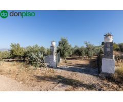 Casa rural con 300 olivos de riego y almendras