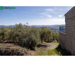 Terreno Rustico con Olivos Centenarios