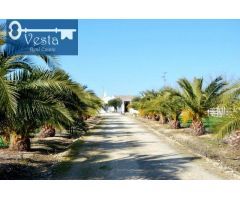FINCA RUSTICA EN  ZONA NORTE