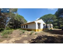 GRAN FINCA EN PUERTO REAL
