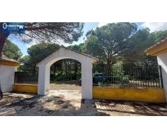 GRAN FINCA EN PUERTO REAL