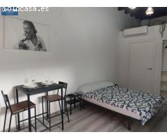 LOFT EN BARRIO SAN MATEO