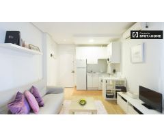 Amplio apartamento de 1 dormitorio en alquiler cerca de Plaza de Colón en Salamanca