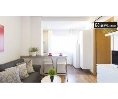 Maravilloso apartamento de 1 dormitorio en alquiler cerca del Parque El Retiro en Salamanca