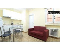 Precioso apartamento de 1 dormitorio en alquiler en Malasaña