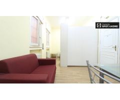 Precioso apartamento de 1 dormitorio en alquiler en Malasaña
