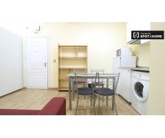 Precioso apartamento de 1 dormitorio en alquiler en Malasaña