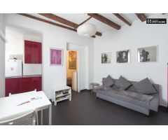 Moderno apartamento de 1 dormitorio en alquiler en Malasaña