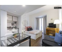 Apartamento de estudio limpio en el centro