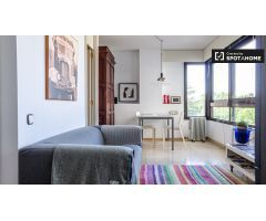 Bonito estudio en alquiler en El Pla del Real
