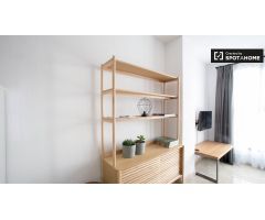 Fantástico apartamento de 1 dormitorio en alquiler cerca de las facultades de la universidad en Algi