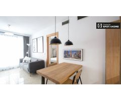 Fantástico apartamento de 1 dormitorio en alquiler cerca de las facultades de la universidad en Algi
