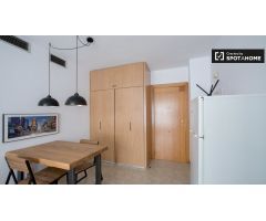 Fantástico apartamento de 1 dormitorio en alquiler cerca de las facultades de la universidad en Algi
