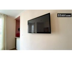Apartamento minimalista de 1 dormitorio en alquiler en LEixample