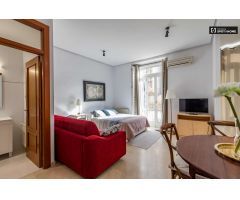 Soleado estudio en alquiler en Ciutat Vella