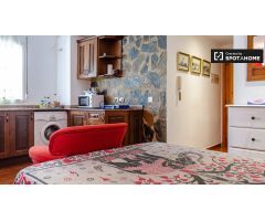 Funky estudio en alquiler en Ciutat Vella