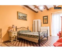 Bonito estudio en alquiler en el centro de Ciutat Vella