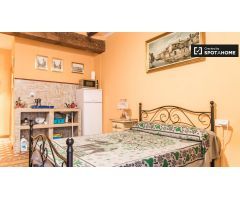 Bonito estudio en alquiler en el centro de Ciutat Vella