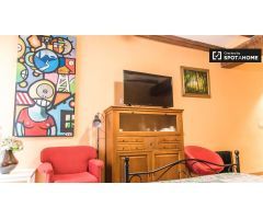Bonito estudio en alquiler en el centro de Ciutat Vella