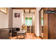 Acogedor estudio en alquiler en la antigua Ciutat Vella